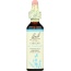 BACH ORIGINAL FLOWER REMEDIES: Chicory, 0.7 oz