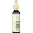 BACH ORIGINAL FLOWER REMEDIES: Chicory, 0.7 oz