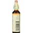 BACH ORIGINAL FLOWER REMEDIES: Hornbeam, 0.7 oz