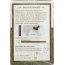 CHOICE TEA: Organic Jasmine Green Tea, 16 bg