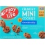 ENJOY LIFE: Crunchy Chocolate Chip Mini Cookies, 6 oz