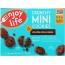 ENJOY LIFE: Crunchy Minis Double Chocolate, 6 oz