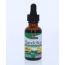 NATURES ANSWER: Dandelion Root Alcohol Free, 1 oz