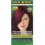 NATURTINT: Permanent Hair Color 5M Light Mahogany Chestnut, 5.28 oz