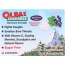 OLBAS: Maximum Strength Sugar Free Lozenges Black Currant Flavor, 24 Lozenges