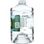 POLAND SPRINGS: Water Spring Pet, 3 lt