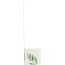 QUANTUM HEALTH: Super Lysine + Cold Sore Treatment, 0.25 oz