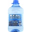 REAL WATER: Water Bottled Alkalized, 1 ga