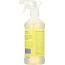 REBEL GREEN: Spray All Purpose Peppermint Lemon, 16 oz