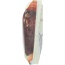 THINKTHIN: Lean Protein and Fiber Bar Chocolate Almond Brownie, 1.41 oz