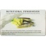 WILD PLANET: Wild White Anchovies in Water with Sea Salt, 4.4 oz