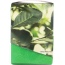 WISDOM OF THE ANCIENTS: Organic Yerba Mate Royale Tea, 1.1 oz