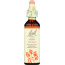 BACH ORIGINAL FLOWER REMEDIES: Aspen, 0.7 oz