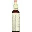 BACH ORIGINAL FLOWER REMEDIES: Clematis, 0.7 oz