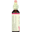 BACH ORIGINAL FLOWER REMEDIES: Pine, 0.7 oz