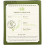 RISHI TEA: Matcha Super Green Tea 15 Tea Bags, 40.5 gm